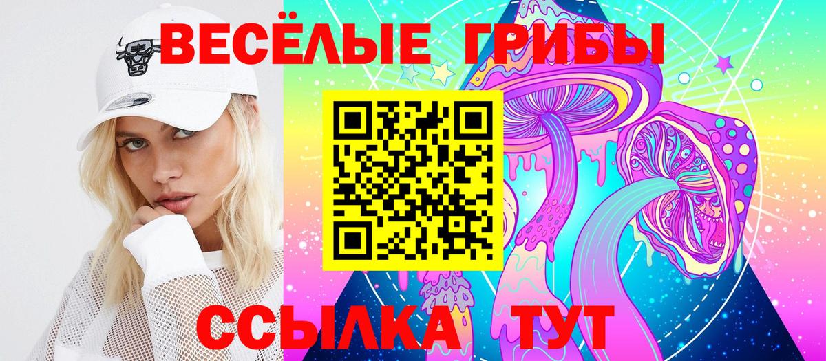 Псилоцибиновые грибы мицелий  Вход с VPN  Дивногорск  Псилоцибиновые грибы мицелий 