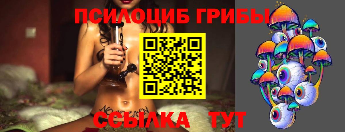 Псилоцибиновые грибы MAGIC MUSHROOMS Дивногорск